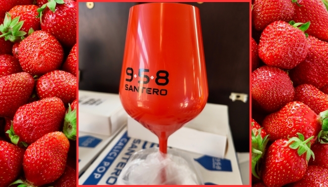 Calice Santero 958 in ABS da Collezione